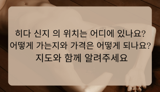 히다 신지 의 위치는 어디에 있나요? 어떻게 가는지와 가격은 어떻게 되나요? 지도와 함께 알려주세요