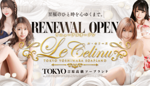 【評價】在 Le CELINU 體驗獨特的「黃金椅」與極致款待