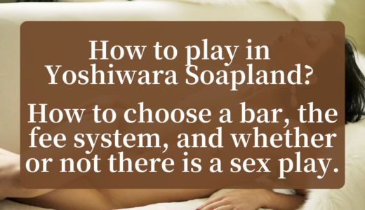 How to play in Yoshiwara Soapland? How to choose a bar, the fee system, and whether or not there is a sex play.